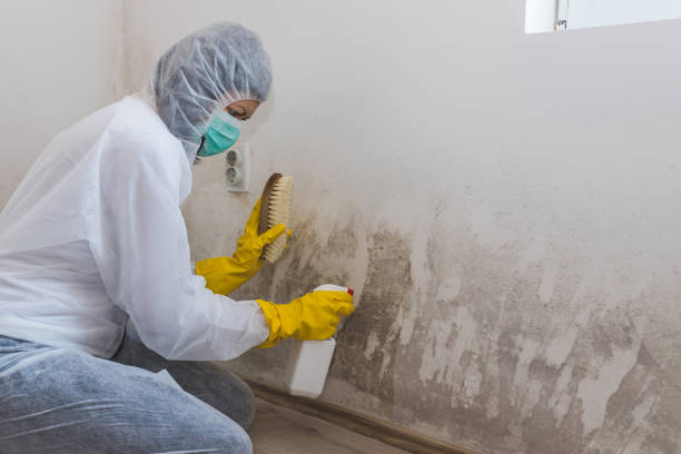 Griffin, GA Mold Remediation Company