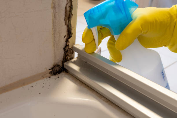 Best Residential Mold Remediation in Griffin, GA