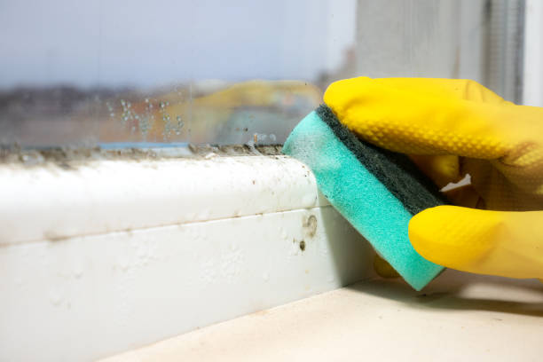 Best Residential Mold Remediation in Griffin, GA